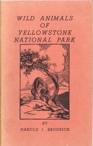 Wild Animals of Yellowstone National Park book cover
