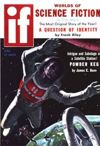 The Raider book cover