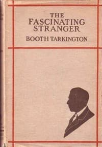 The Fascinating Stranger, and Other Stories book cover
