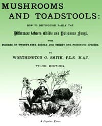Mushroom and Toadstools
How to Distinguish Easily the Differences Between Edible and Poisonous Fungi