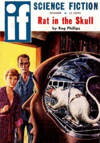 The Night of Hoggy Darn book cover