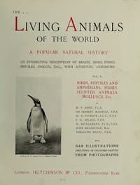 The Living Animals of the World, Volume 2 (of 2)
A Popular Natural History