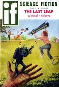 The Little Red Bag book cover