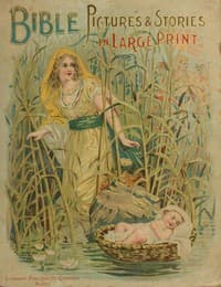 Bible pictures and stories in large print