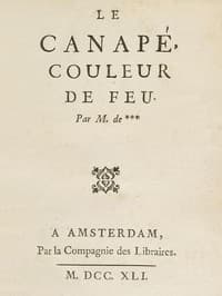 Le Canapé couleur de feu book cover