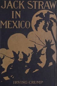 Jack Straw in Mexico: How the Engineers Defended the Great Hydro-Electric Plant book cover
