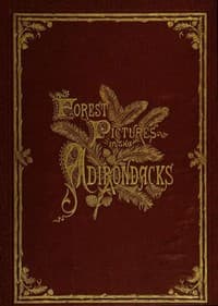 Forest Pictures in the Adirondacks book cover