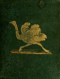 Tales About Birds, Illustrative of Their Nature, Habits, and Instincts