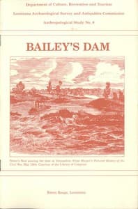 Bailey's Dam book cover