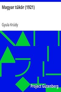 Magyar tükör (1921) book cover