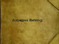 Luxurious Bathing
