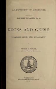 Ducks and Geese: Standard Breeds and Management