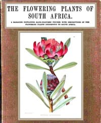 The flowering plants of South Africa; vol. 1 book cover
