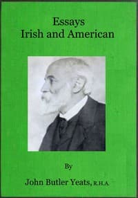 Essays Irish and American book cover