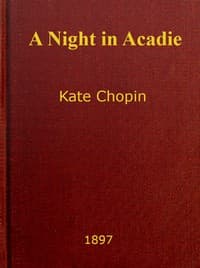 A Night in Acadie book cover