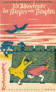 Die Abenteuer des Fliegers von Tsingtau: Meine Erlebnisse in drei Erdteilen book cover