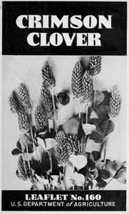 Crimson Clover [1947] book cover