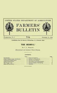 The Bedbug [1916]