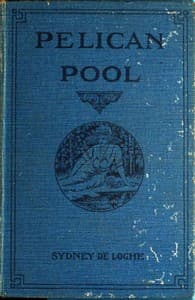 Pelican Pool: A Novel book cover