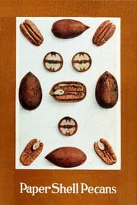 Paper Shell Pecans