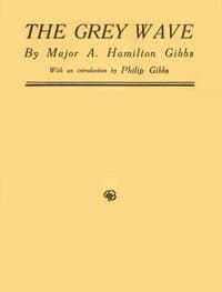 The Grey Wave book cover