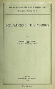 Occupations of the Negroes
