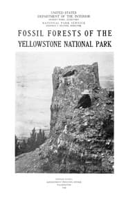 Fossil Forests of the Yellowstone National Park