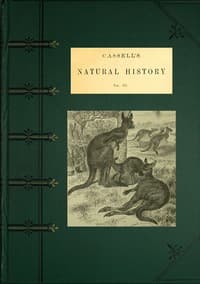 Cassell's Natural History, Vol. 3 (of 6)