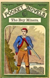 The Boy Miners; Or, The Enchanted Island, A Tale of the Yellowstone Country book cover