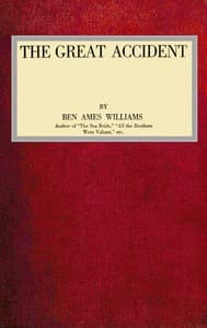 The Great Accident book cover