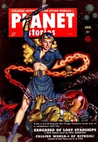 The Vanderlark book cover