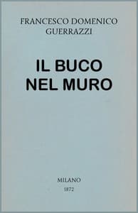 Il buco nel muro book cover