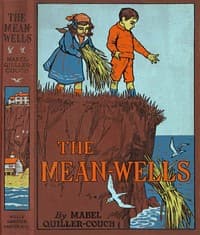 The Mean-Wells book cover