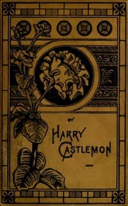 The Young Wild-Fowlers book cover
