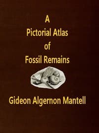 A Pictorial Atlas of Fossil Remains, consisting of coloured illustrations selected from Parkinson's "Organic remains of a former world," and Artis's "Antediluvian phytology."