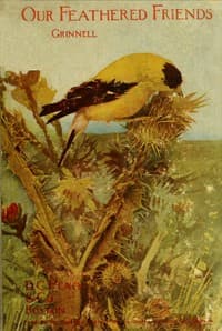 Our Feathered Friends book cover