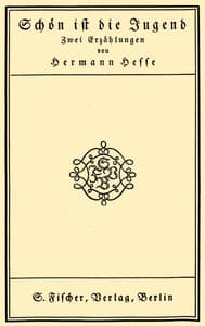 Schön ist die Jugend: Zwei Erzählungen book cover