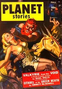 Valkyrie from the Void book cover