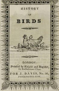 History of Birds