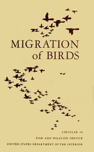 Migration of Birds (1950)