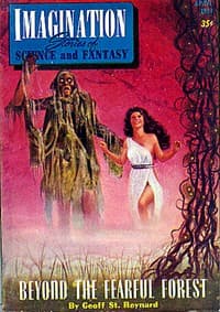 Beyond the Fearful Forest book cover