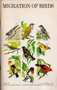 Migration of Birds (1979) book cover