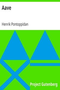 Aave book cover