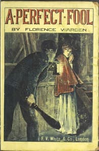 A Perfect Fool: A Novel book cover