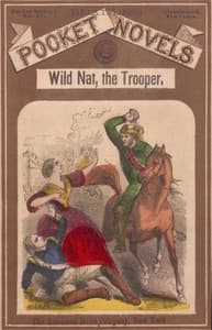 Wild Nat, the Trooper; or, The Cedar Swamp Brigade book cover