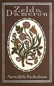 Zelda Dameron book cover