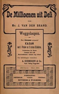 De millioenen uit Deli book cover