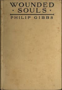 Wounded Souls book cover