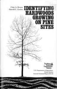 Identifying Hardwoods Growing on Pine Sites book cover