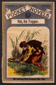 Nat, The Trapper and Indian-Fighter book cover